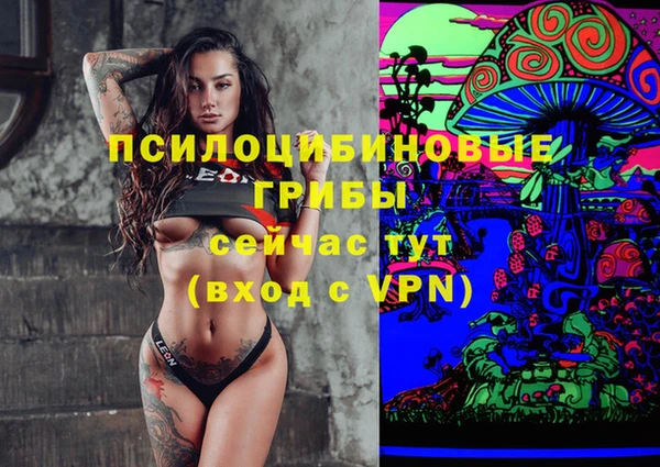 дмт Алексеевка